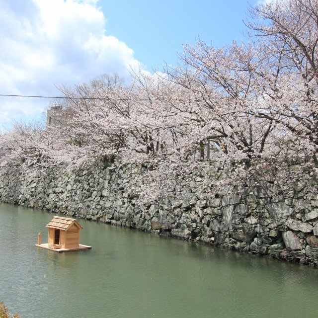 徳島中央公園（徳島城跡）
