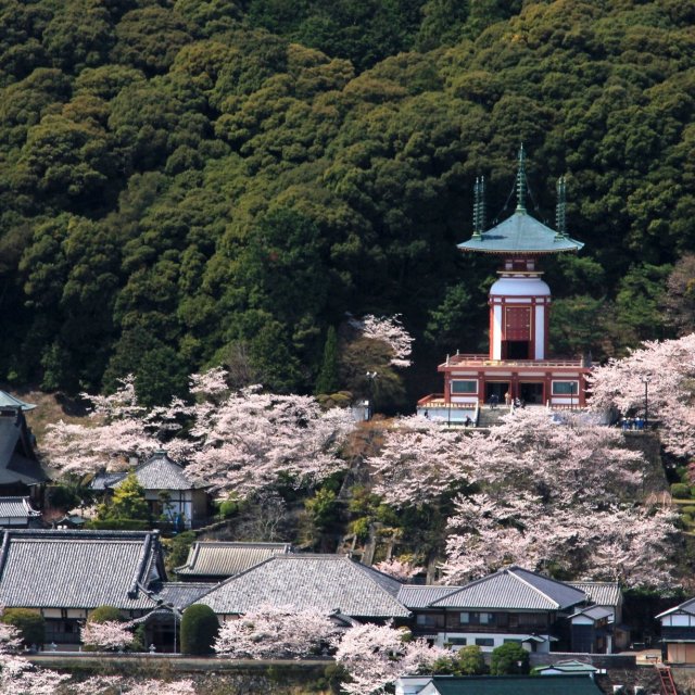 第23番札所 医王山 無量寿院 薬王寺