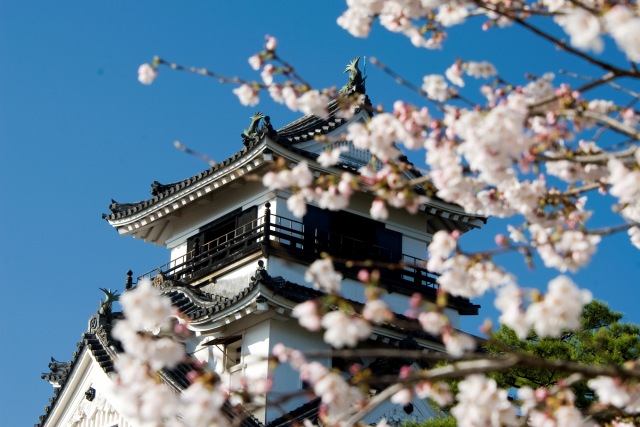 高知城